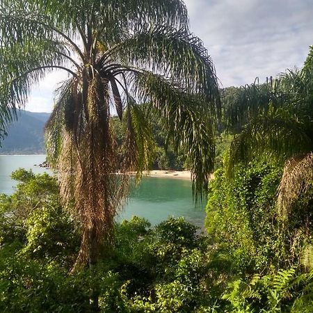 Ubatuba Surf Hostel, Apenas A 60 Metros Da Praia Da Lagoinha! Dış mekan fotoğraf